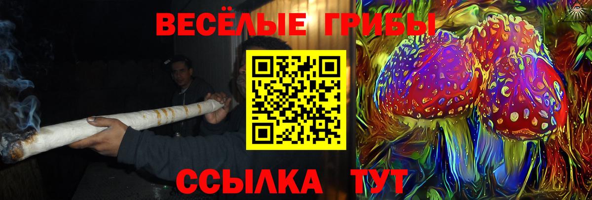 Галлюциногенные грибы MAGIC MUSHROOMS  Псилоцибиновые грибы MAGIC MUSHROOMS  Апрелевка  Вход с VPN 